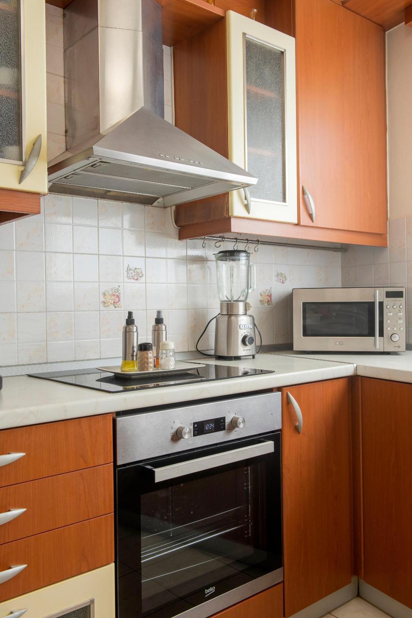 Apartment Vasiliki Island View House *